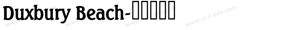 Duxbury Beach字体转换